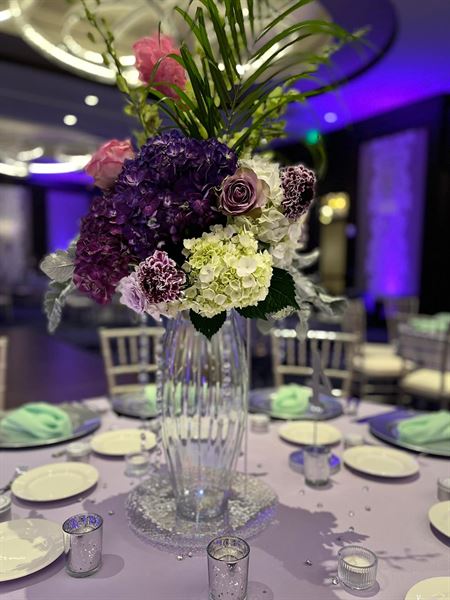 A Bird's Eye View Events