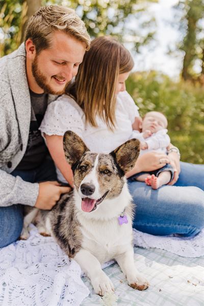 Justyne Edgell Photographer and Design