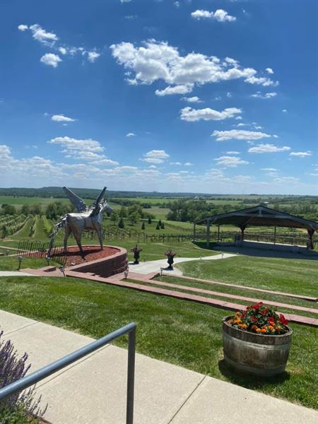 Soaring Wings Vineyards