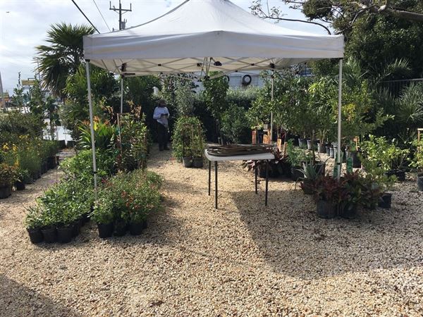 Marathon Garden Club