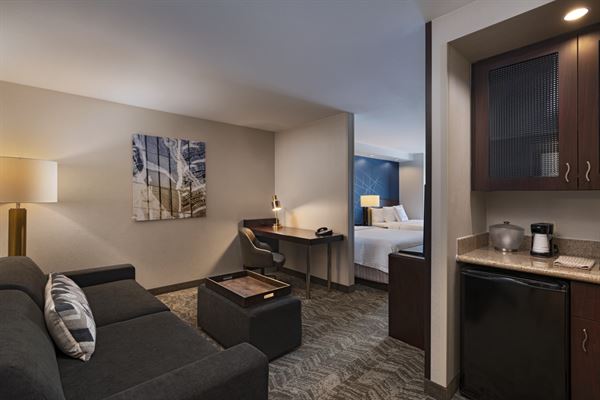 SpringHill Suites Boise