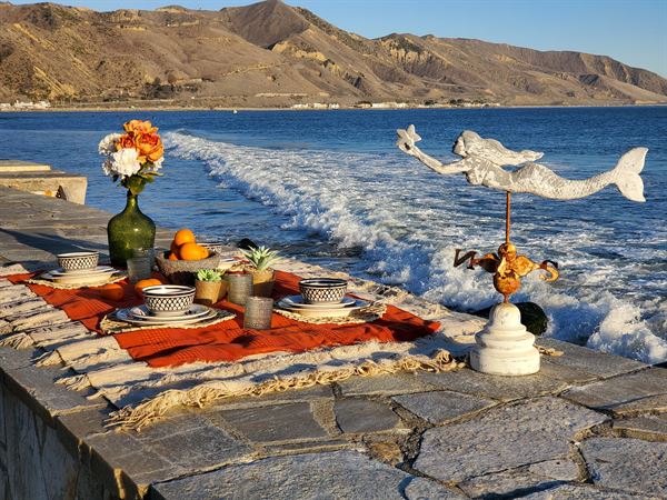 Sonoran Firefly Events