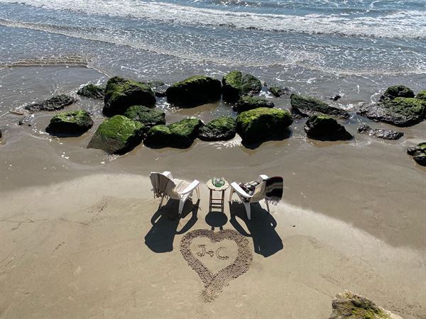 Sonoran Firefly Events