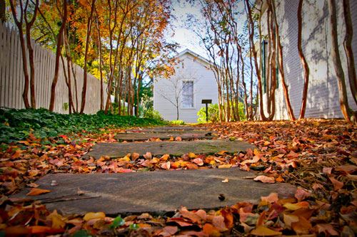 Historic Curran Hall