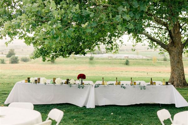 Ste. Chapelle Winery