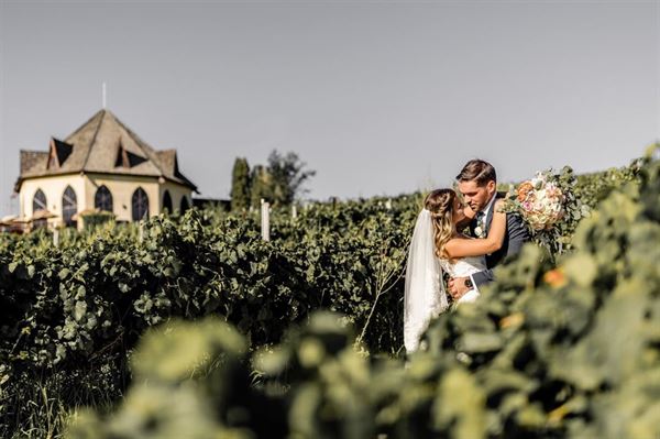 Ste. Chapelle Winery