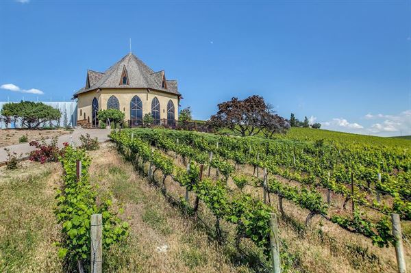 Ste. Chapelle Winery