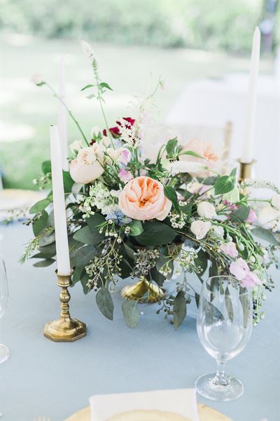 The Gardens At Isaac Taylor