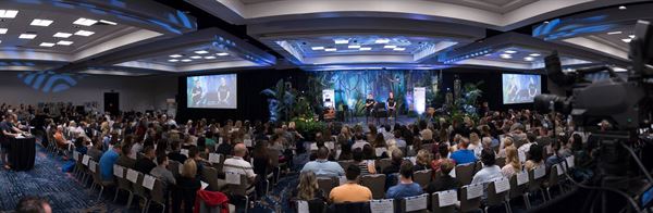 All American Audio Visual