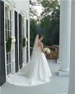 Steve Mason Photography