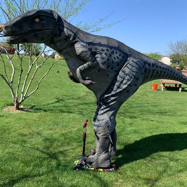 Dino Crew Entertainment