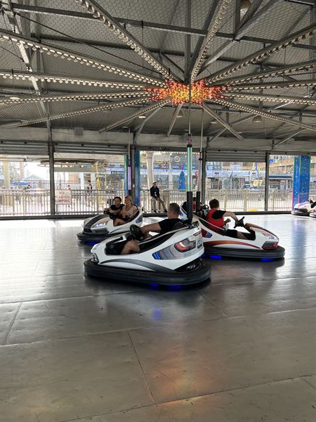 CAT's Eye Photography