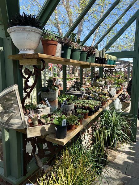 CAT's Eye Photography