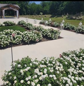 Outdoor Ceremony Space