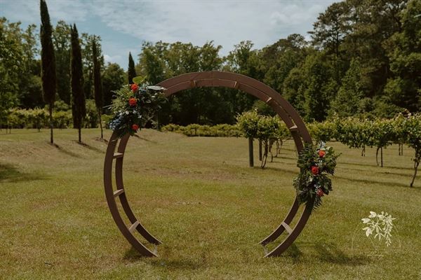 The Vines Of Lexington