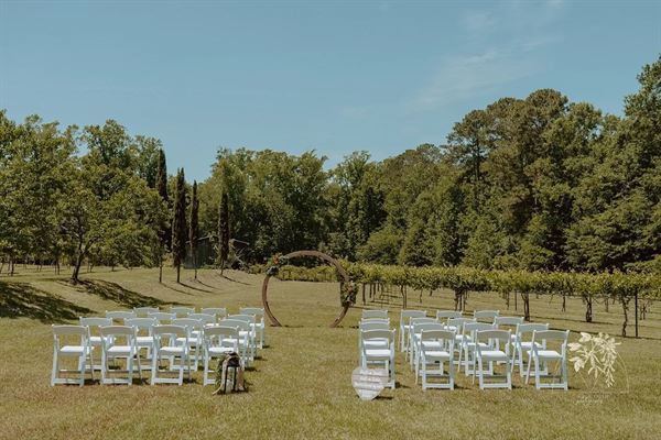 The Vines Of Lexington