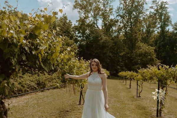 The Vines Of Lexington