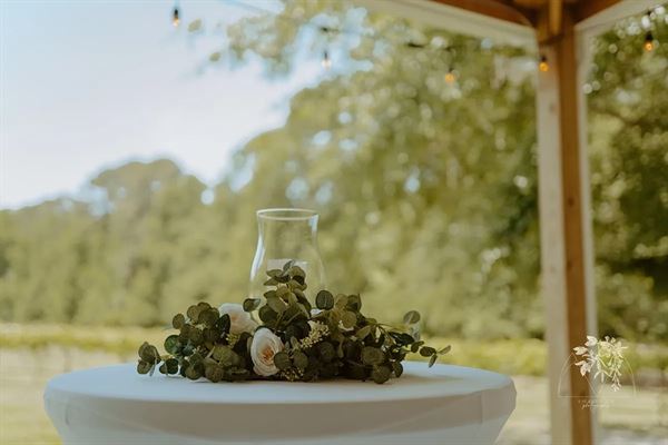 The Vines Of Lexington