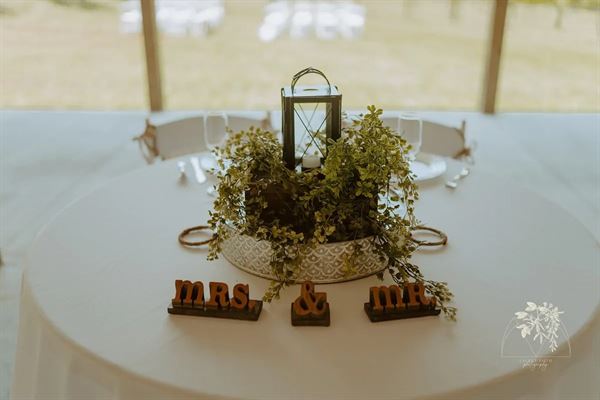 The Vines Of Lexington