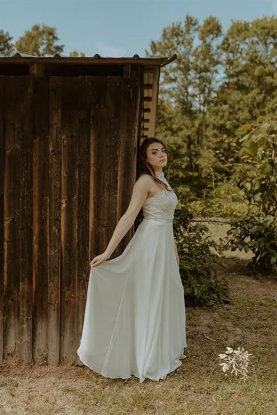 The Vines Of Lexington