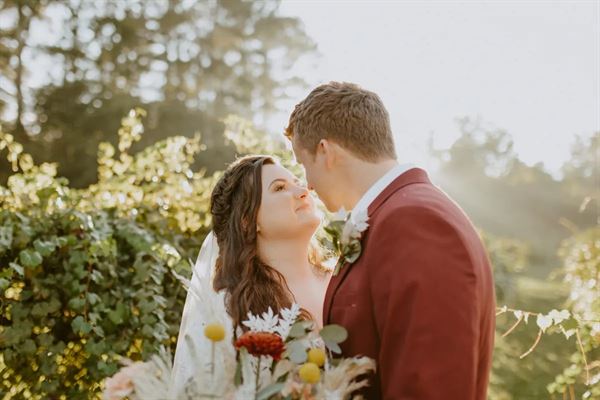 The Vines Of Lexington