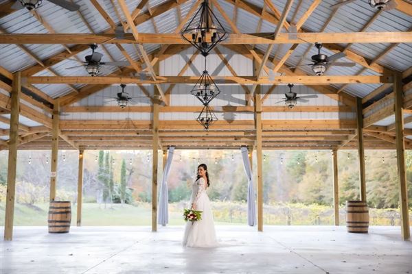 The Vines Of Lexington