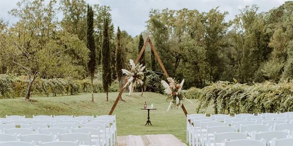 The Vines Of Lexington