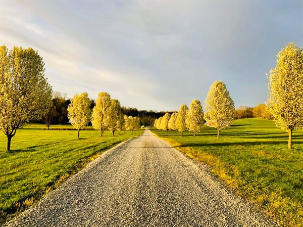 Hill & Valley Farms Bed & Breakfast