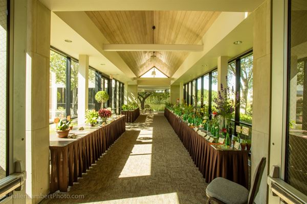 Botanical Research Institute of Texas (BRIT)