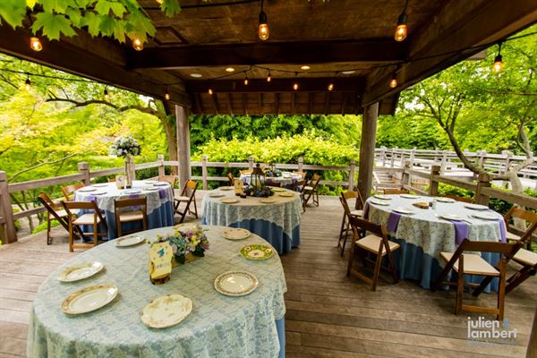 Botanical Research Institute of Texas (BRIT)