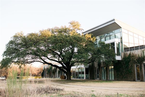 Botanical Research Institute of Texas (BRIT)
