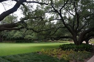 Horseshoe Garden