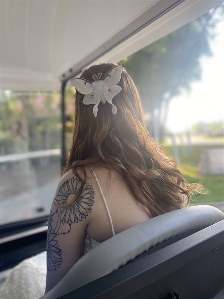 K Signatures Services