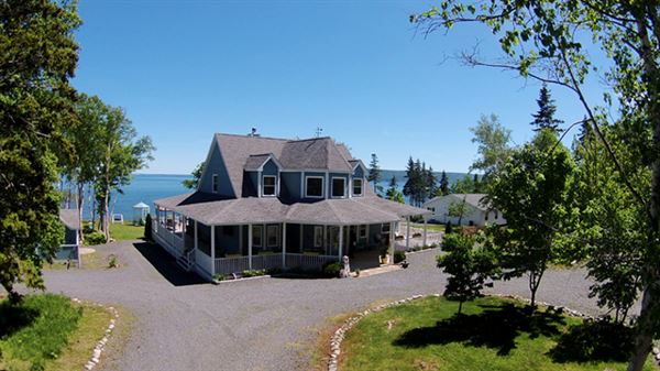 Sea Parrot Oceanview