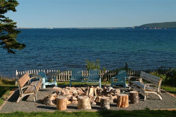 Sea Parrot Oceanview