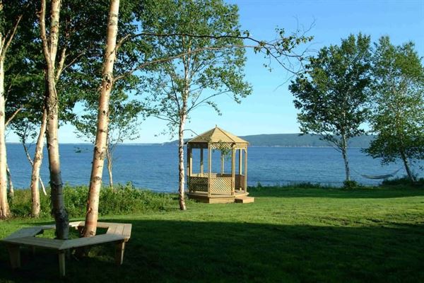 Sea Parrot Oceanview