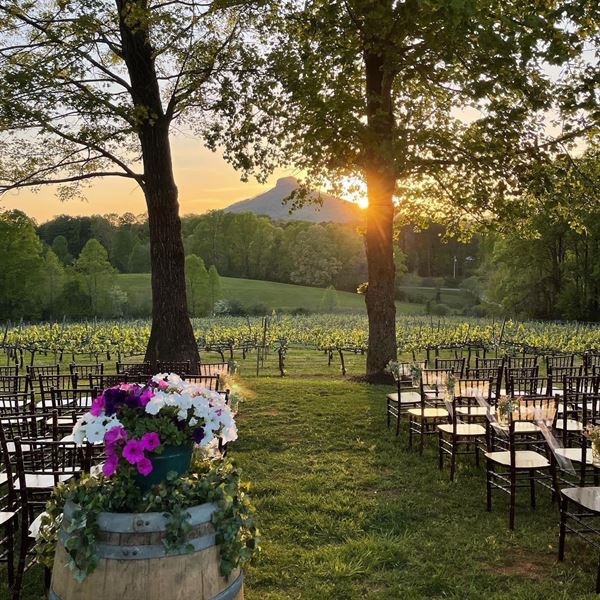 Pilot Mountain Vineyards & Weddings
