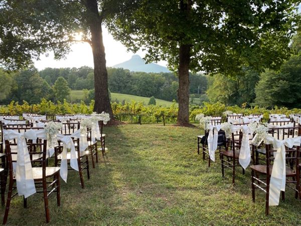 Pilot Mountain Vineyards & Weddings