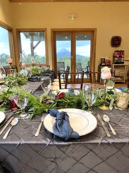 Pilot Mountain Vineyards & Weddings