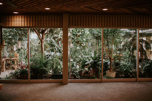 Art Gallery Of Burlington