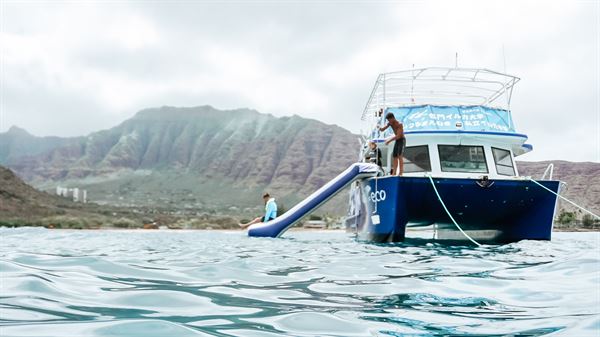 Iruka Hawaii Experiences