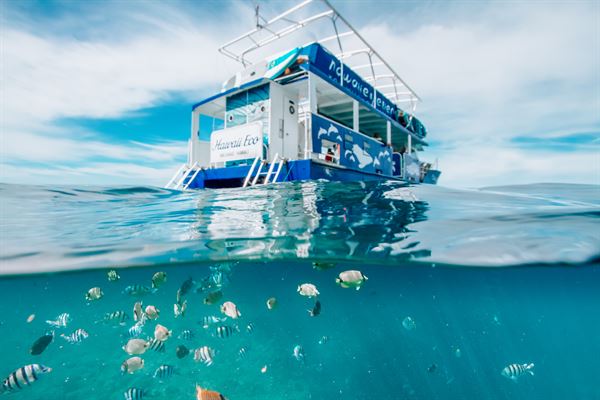 Iruka Hawaii Experiences