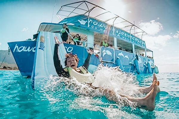 Iruka Hawaii Experiences