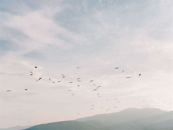 Audra Jones Photography