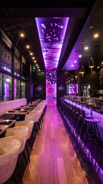 Ten Sushi + Cocktail