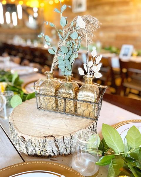 The Garden By Dorceys