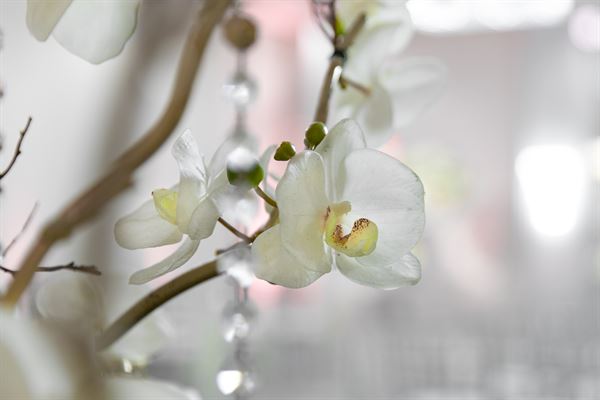 CrystalView Weddings & Events