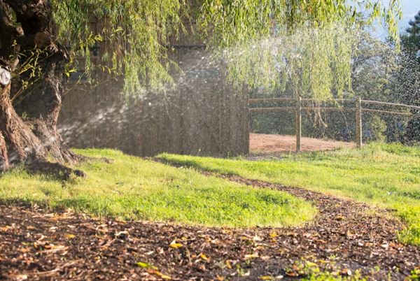 Country Willows Inn and Estate