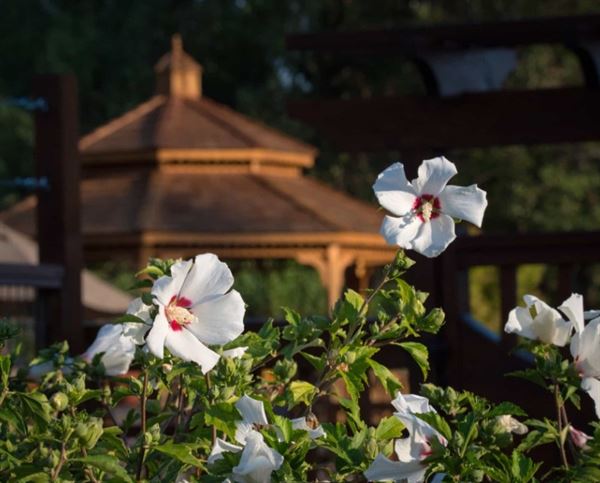 Country Willows Inn and Estate