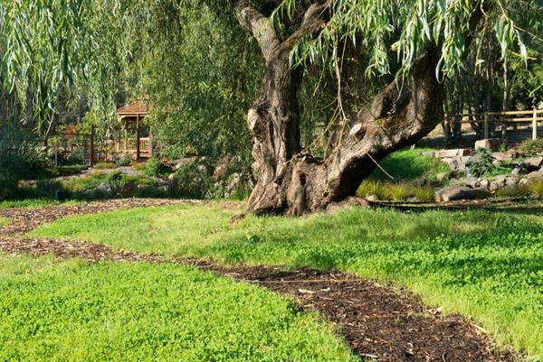 Country Willows Inn and Estate